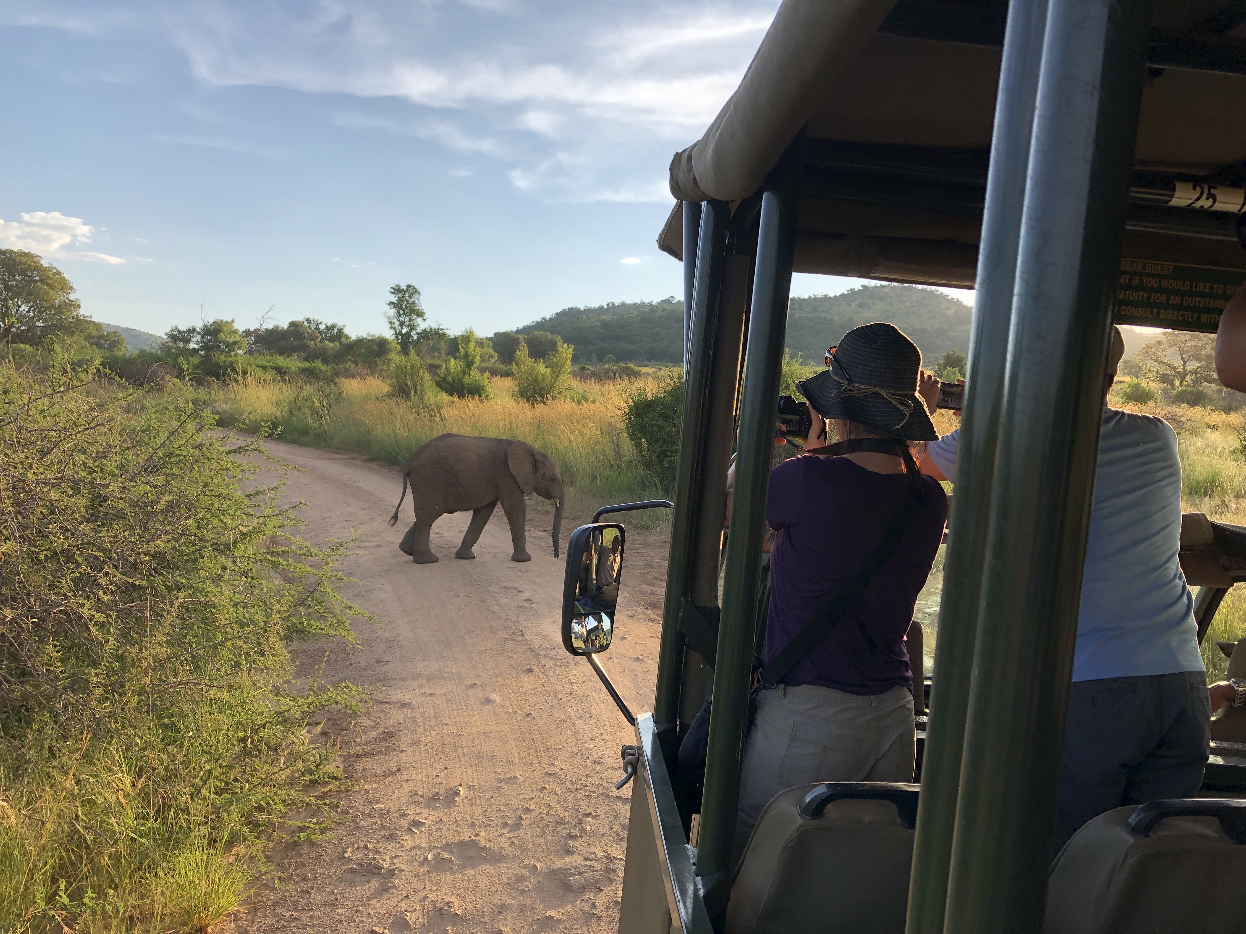 EMBA 2019 Pilanesberg National Park Safari